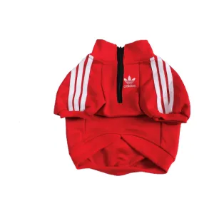 Adidog Red Jacket