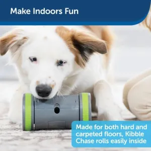 PetSafe® Kibble Chase™ Roaming Treat Dispenser