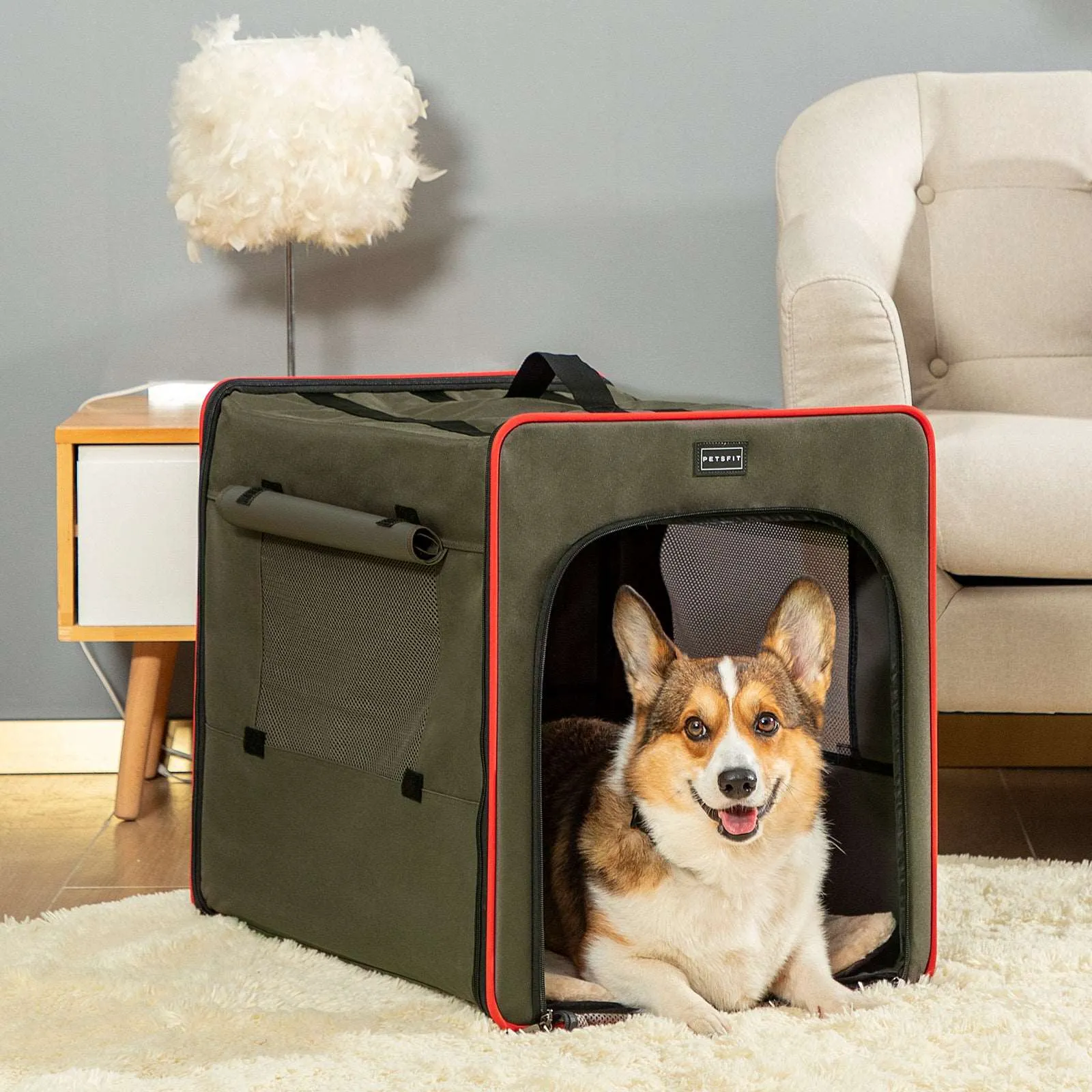 PETSFIT Sturdy Wire Frame Soft Pet Crate Collapsible for Travel