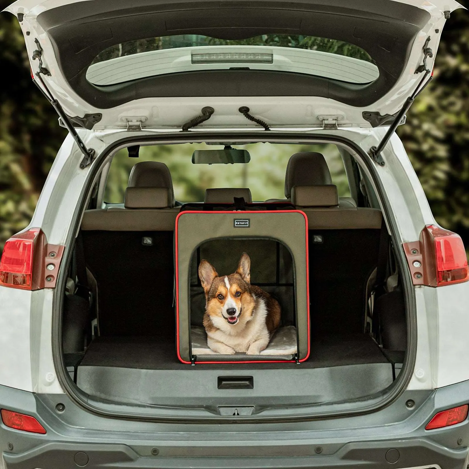 PETSFIT Sturdy Wire Frame Soft Pet Crate Collapsible for Travel