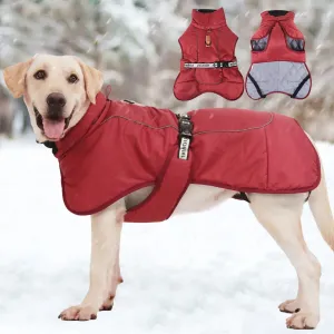 Winter Reflective Jacket for Medium and Large Dogs - Keep Your French Bulldog, Dachshund, and Labrador Warm, Dry, and Visible